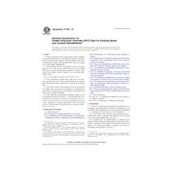 ASTM F1504-10