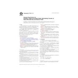 ASTM F1919-10