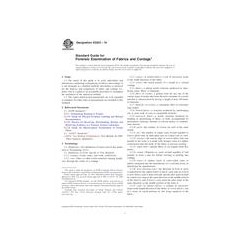 ASTM E2225-10