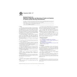 ASTM E2690-10e2