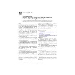 ASTM E2690-10