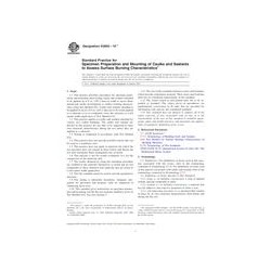 ASTM E2690-10e1