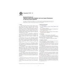 ASTM F2781-10