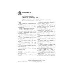 ASTM B863-10
