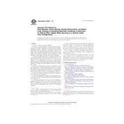ASTM D5537-10