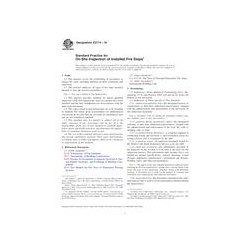 ASTM E2174-10