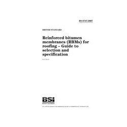 BS 8747:2007
