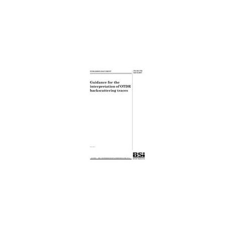 BS PD IEC/TR 62316:2007