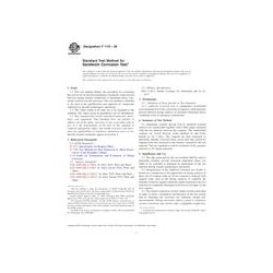 ASTM F1110-09