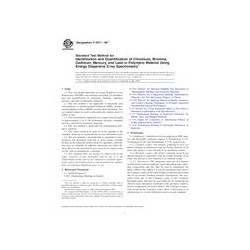ASTM F2617-08e1