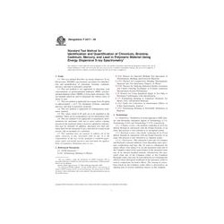 ASTM F2617-08