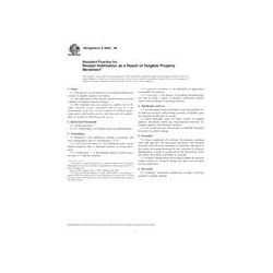 ASTM E2606-08