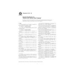 ASTM B381-08