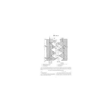 ASTM F1498-08