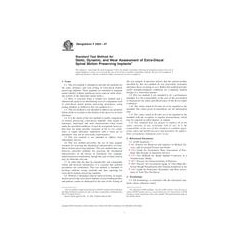 ASTM F2624-07