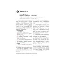 ASTM E2166-07