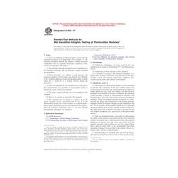 ASTM E1802-07