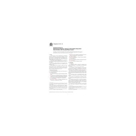 ASTM E1961-06