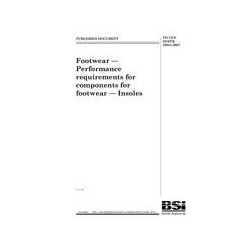 BS PD CEN ISO/TR 20881:2007