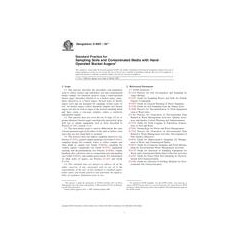 ASTM D6907-05e1