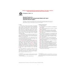 ASTM D6907-05
