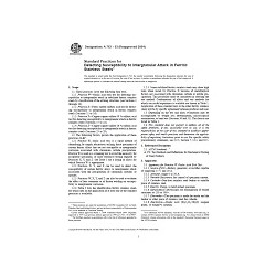 ASTM A763-93(2004)