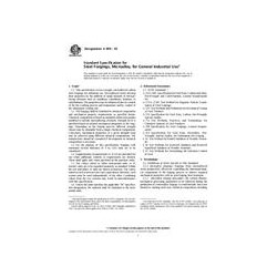 ASTM A909-03