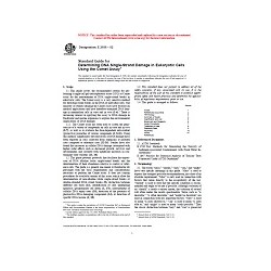 ASTM E2186-02