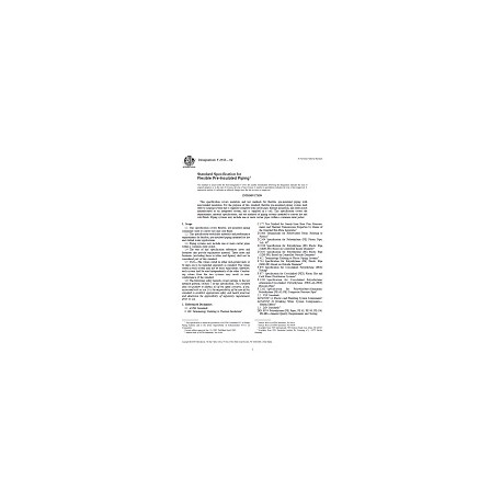 ASTM F2165-02