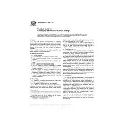 ASTM C1487-02