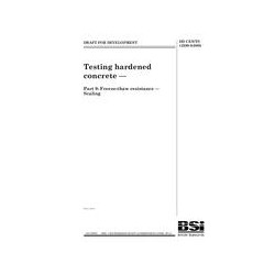 BS DD CEN/TS 12390-9:2006