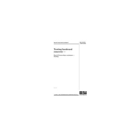 BS DD CEN/TS 12390-9:2006