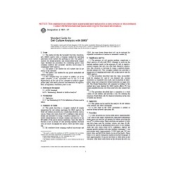 ASTM E1881-97