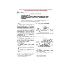 ASTM F1743-96
