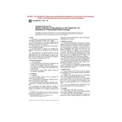 ASTM E1533-93