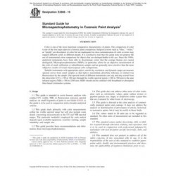 ASTM E2808-19