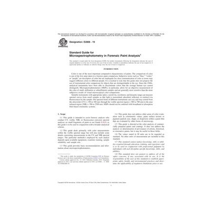 ASTM E2808-19