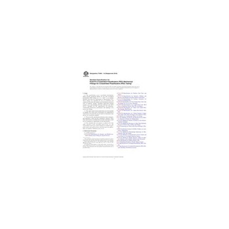 ASTM F2854-10(2016)