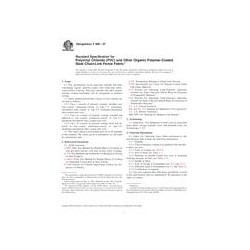 ASTM F668-07