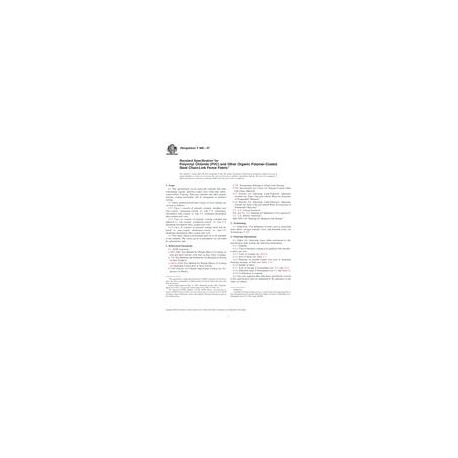ASTM F668-07