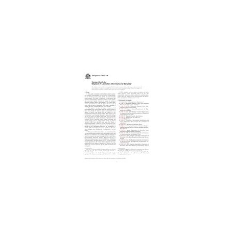 ASTM D4447-06