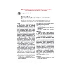 ASTM E1848-96