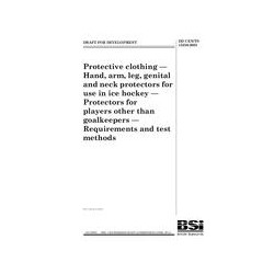BS DD CEN/TS 15256:2005