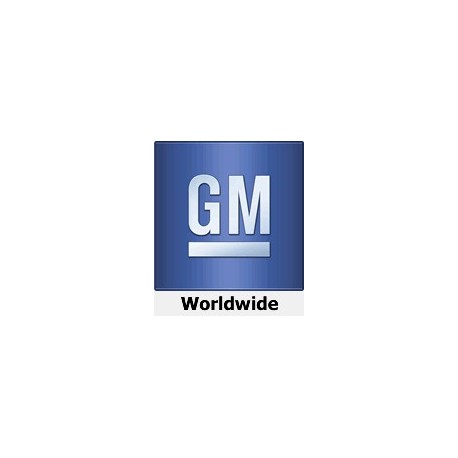 GMW17100