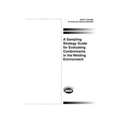 AWS F1.3M:2006