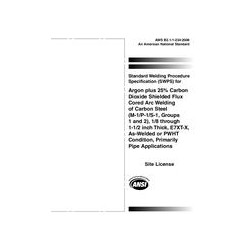 AWS B2.1-1-234:2006