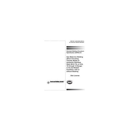 AWS B2.1-8-005:2002 (R2013)
