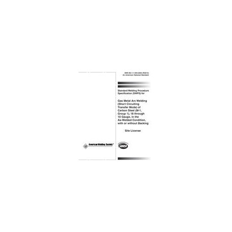 AWS B2.1-1-004:2002 (R2013)