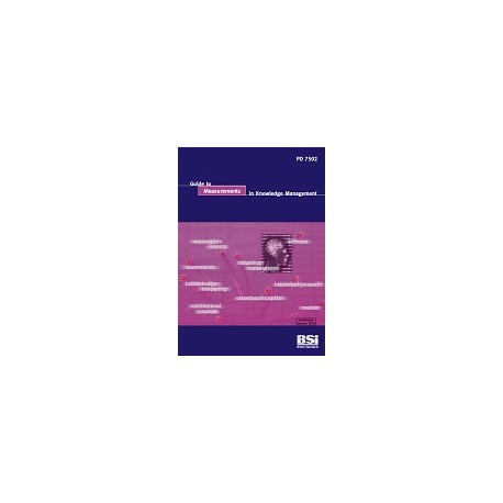BS PD 7502:2003