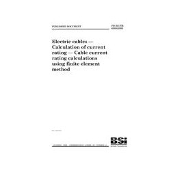 BS PD IEC/TR 62095:2003